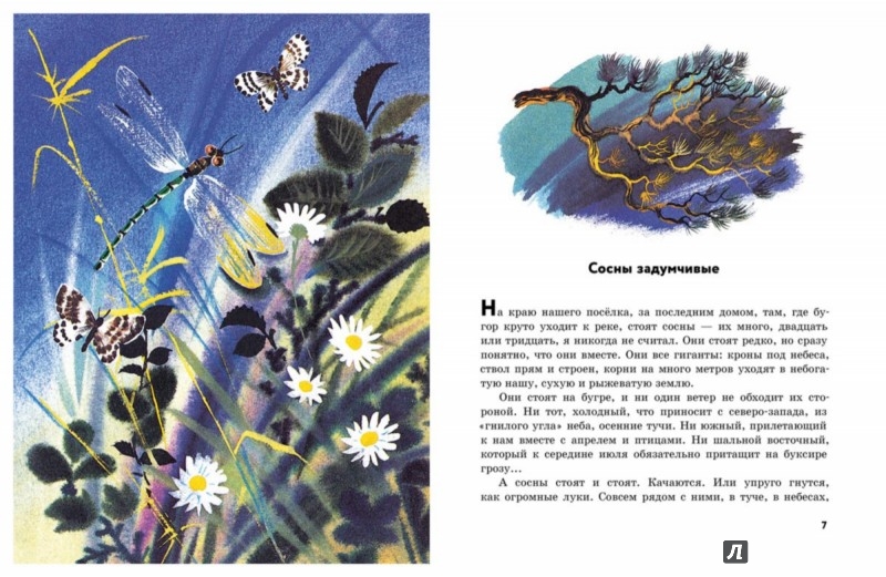 Иллюстрация 2 из 25 для Зимняя девочка - Сергей Иванов | Лабиринт - книги. Источник: Лабиринт