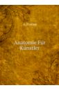 Froriep August Anatomie Fur Kunstler (German Edition)