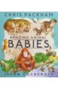 forrester philippa amazing animal journeys Packham Chris Amazing Animal Babies