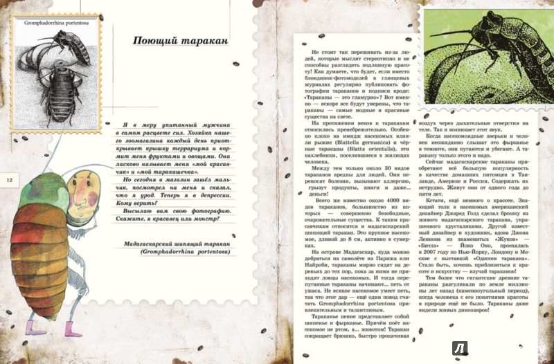 Иллюстрация 3 из 33 для Письма насекомых - Ольга Кувыкина | Лабиринт - книги. Источник: Лабиринт