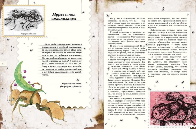 Иллюстрация 4 из 33 для Письма насекомых - Ольга Кувыкина | Лабиринт - книги. Источник: Лабиринт