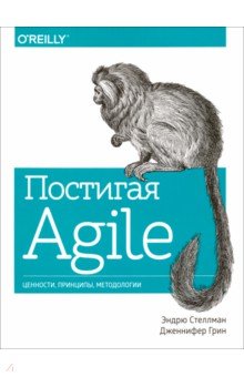 Постигая Agile. Ценности, принципы, методологии Манн, Иванов и Фербер