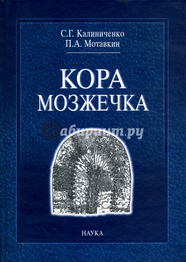 Кора мозжечка