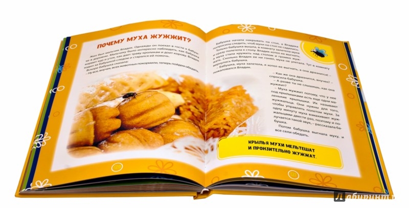 Иллюстрация 5 из 12 для Энциклопедия для детей в сказках | Лабиринт - книги. Источник: Лабиринт