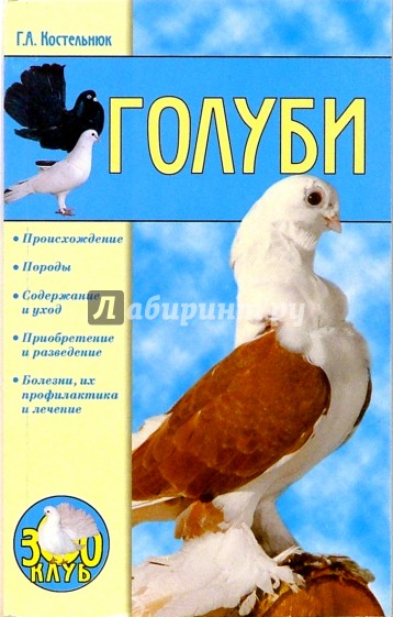 Голуби