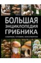 Поленов Андрей Борисович Большая энциклопедия грибника. Собираем, готовим, консервируем поленов андрей борисович большая энциклопедия грибника собираем и готовим