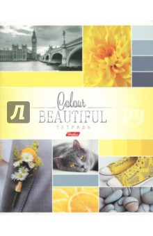 

Тетрадь общая "Beautiful Colour" (96 листов, А5, клетка, в ассортименте) (96Т5В1)