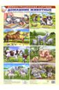 Демонстрационные картины. Домашние животные комплект плакатов животные мира 4020