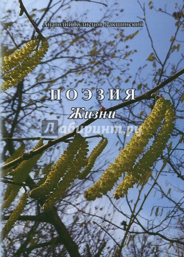 Поэзия жизни