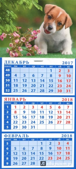 Иллюстрация 1 из 3 для 2018 Календарь "Год собаки. Щенок джек рассел терьера" (34814) | Лабиринт - сувениры. Источник: Лабиринт