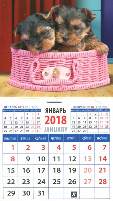 Иллюстрация 1 из 3 для 2018 Календарь "Год собаки. Щенки йоркширского терьера" (20840) | Лабиринт - сувениры. Источник: Лабиринт