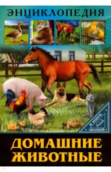 Обложка книги Домашние животные, Балуева Оксана