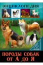 Породы собак от А до Я - Соколова Людмила