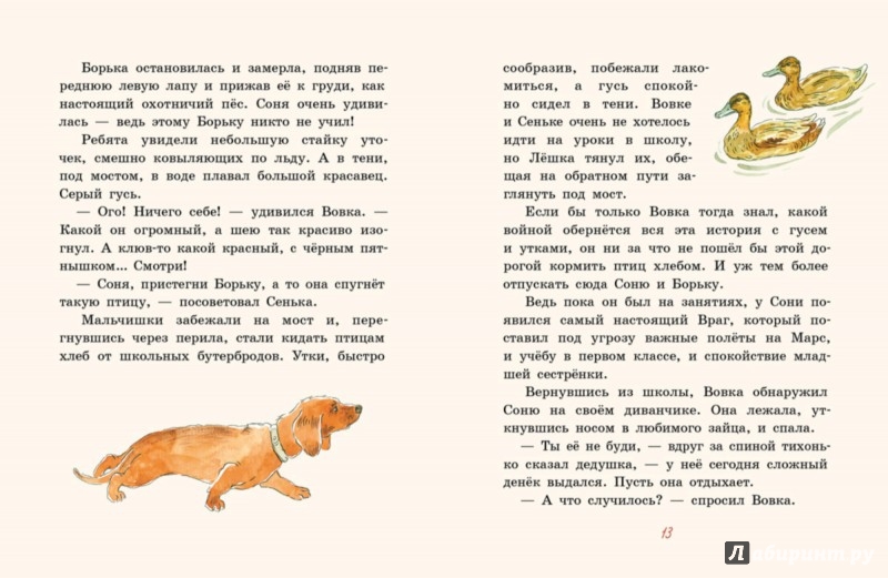 Иллюстрация 4 из 30 для Борька, брысь! - Анна Доброчасова | Лабиринт - книги. Источник: Лабиринт