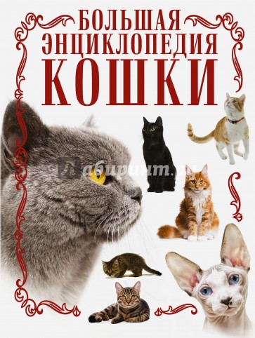 Кошки. Большая энциклопедия