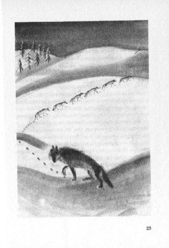 Иллюстрация 9 из 17 для Глаз волка - Даниэль Пеннак | Лабиринт - книги. Источник: Лабиринт