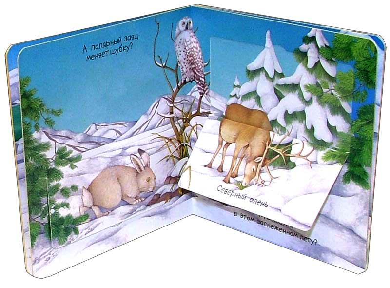 Иллюстрация 2 из 14 для Среди снегов. Кто это там - Эмили Бомон | Лабиринт - книги. Источник: Лабиринт