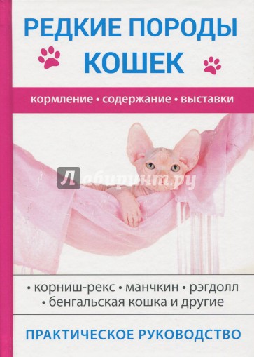 Редкие породы кошек