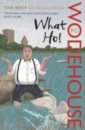 Wodehouse Pelham Grenville What Ho! The Best of Wodehouse wodehouse pelham grenville the best of wodehouse an anthology
