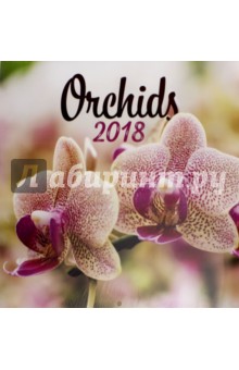 2018   Orchids  30*30 (PGP-5072)