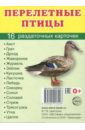 Раздаточные карточки Перелетные птицы, 16 карточек карточки перелетные птицы россии