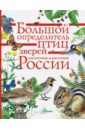 Волцит Петр Михайлович Большой определитель зверей, амфибий, рептилий, птиц, насекомых и растений России