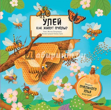 Улей.Как живут пчёлы?