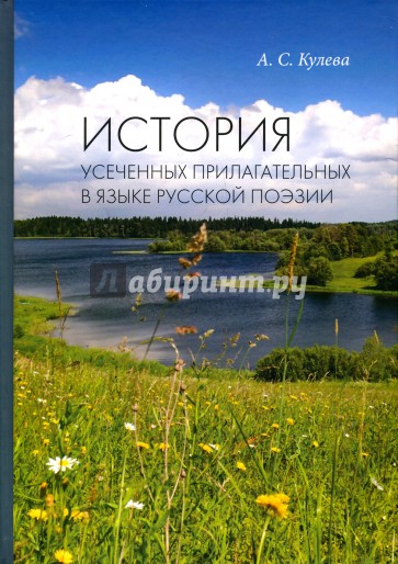 История усеченных прилагательных в языке русской поэзии
