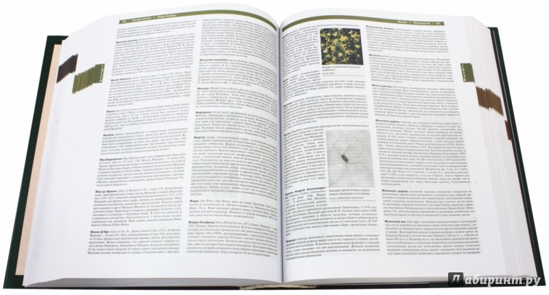 Иллюстрация 1 из 2 для Britanica. Настольная Энциклопедия в 2-х томах | Лабиринт - книги. Источник: Лабиринт