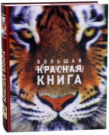 Большая красная книга (стерео-варио)