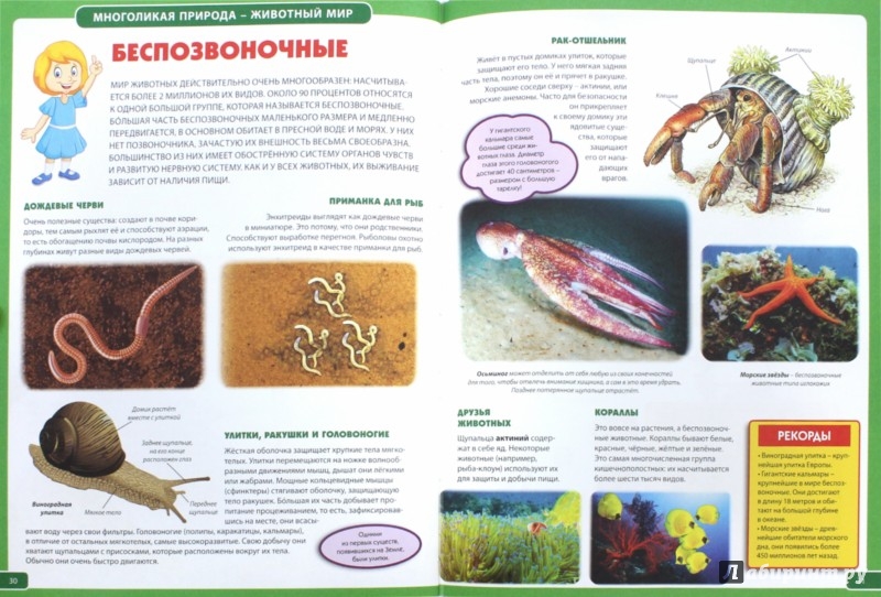 Энциклопедия для детей 7 лет с картинками