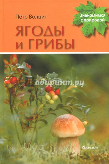 Ягоды и грибы