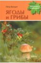 Волцит Петр Михайлович Ягоды и грибы лото для малышей по грибы по ягоды что лишнее