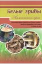 Обложка Белые грибы. Описание видов камчатских белых грибов, рецепты домашних заготовок и блюд из них