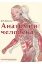 Козлов Валентин Иванович Анатомия человека. Учебник козлов валентин иванович гурова ольга александровна анатомия мышц учебное пособие