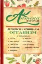 Васильева Ирина Юрьевна Аптека в огороде. Лечимся и очищаем организм с помощью лука, чеснока, свеклы, моркови, тыквы, хрена васильева и аптека в огороде лечимся и очищаем организм с