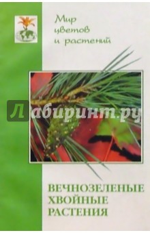 Обложка книги Вечнозеленые хвойные растения, Карпов Алексей Юрьевич