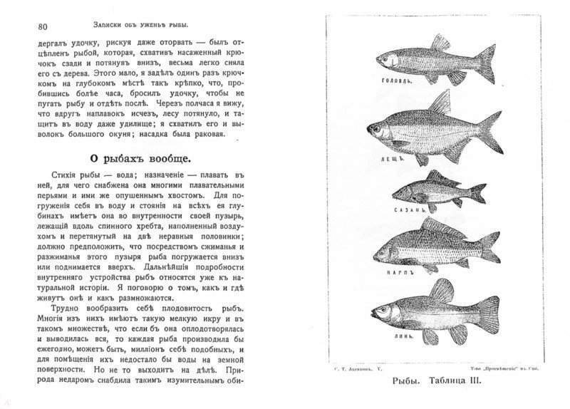Иллюстрация 1 из 4 для Записки об уженье рыбы - Сергей Аксаков | Лабиринт - книги. Источник: Лабиринт