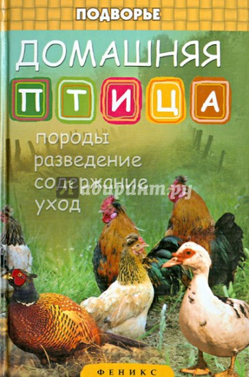 Домашняя птица: породы, разведение, содержание, уход