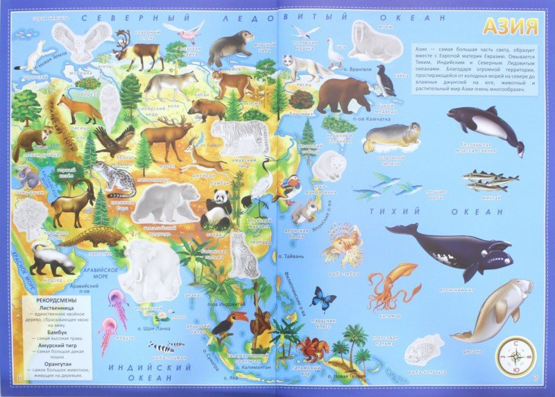 Иллюстрация 2 из 16 для Атлас Мира с наклейками. Животные и растения | Лабиринт - книги. Источник: Лабиринт