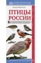 Обложка Птицы России. Наглядный карманный определитель