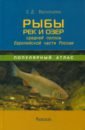 Васильева Екатерина Денисовна Рыбы рек и озёр средней полосы Европейской части России. Популярный атлас