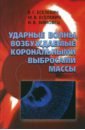 Ударные волны, возбуждаемые корональными выбросами массы - Еселевич Виктор Григорьевич, Еселевич Максим Викторович, Зимовец Иван Викторович