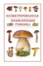 Поленов Андрей Борисович Иллюстрированная энциклопедия грибника васильев михаил лысиков андрей борисович садовые деревья и кустарники иллюстрированная энциклопедия книга для цветовода