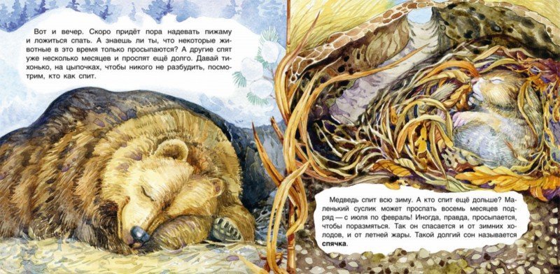 Иллюстрация 2 из 19 для Кто как спит - Юлия Смирнова | Лабиринт - книги. Источник: Лабиринт