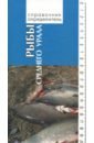 Рыбы Среднего Урала. Справочник-определитель - Богданов Владимир Дмитриевич, Большаков Владимир Николаевич, Госькова Ольга Александрова