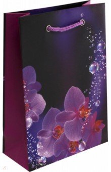 Zakazat.ru: Пакет подарочный (цветы-орхидеи) (14х20х6,5 см).