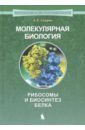 Спирин Александр Сергеевич Молекулярная биология. Рибосомы и биосинтез белка. Учебное пособие