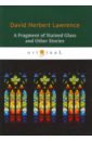 Lawrence David Herbert A Fragment of Stained Glass and Other Stories joyce rachel a snow garden and other stories