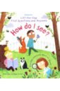 Daynes Katie Lift-The-Flap First Questions and Answers: How Do I See? graves sue croc needs to wait a book about patience